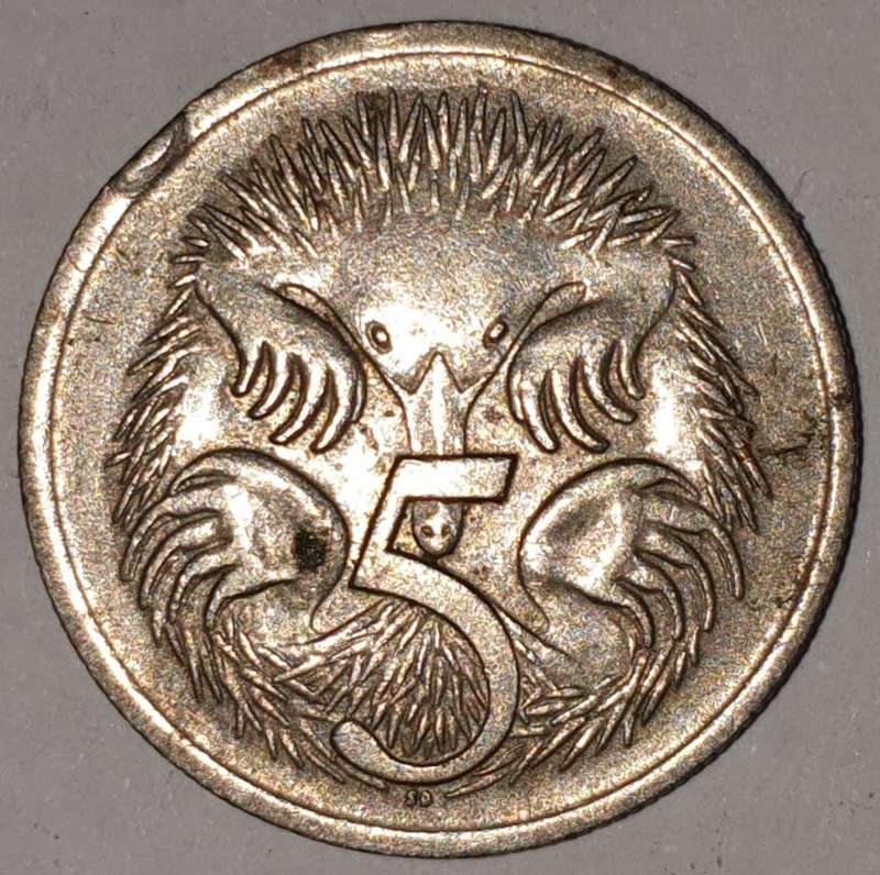 1966 - FIVE CENT - 5 CENT - AUSTRALIA - COPPER-NICKEL - KM# 64 - ECHIDNA